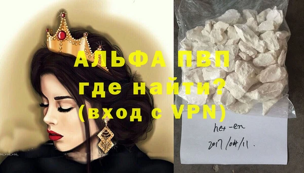 стаф Алексин
