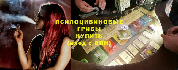 стаф Алексин