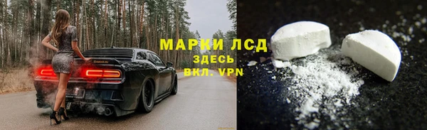 стаф Алексин